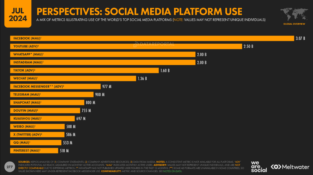 Social media platform user