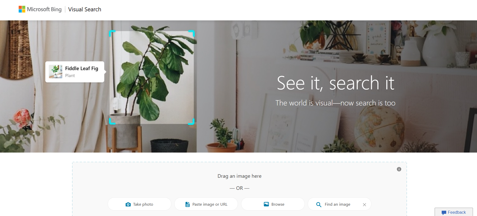 bing image search
